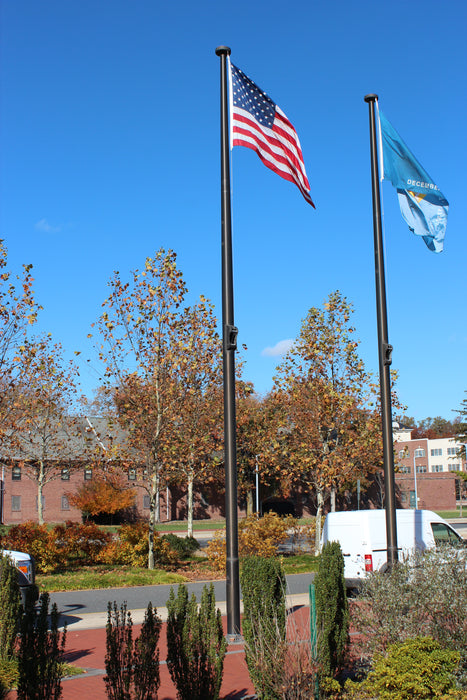 Automatic Aluminum Flagpole